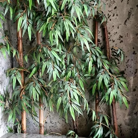 Apartamento Vistasaragon Vigo