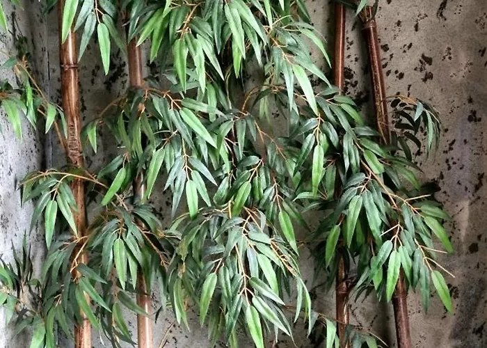 Appartement Vistasaragon Vigo